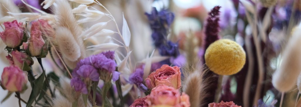 Blumen in meiner Praxis für Psychotherapie, Paartherapie & Systemisches Coaching in Berlin-Schöneberg